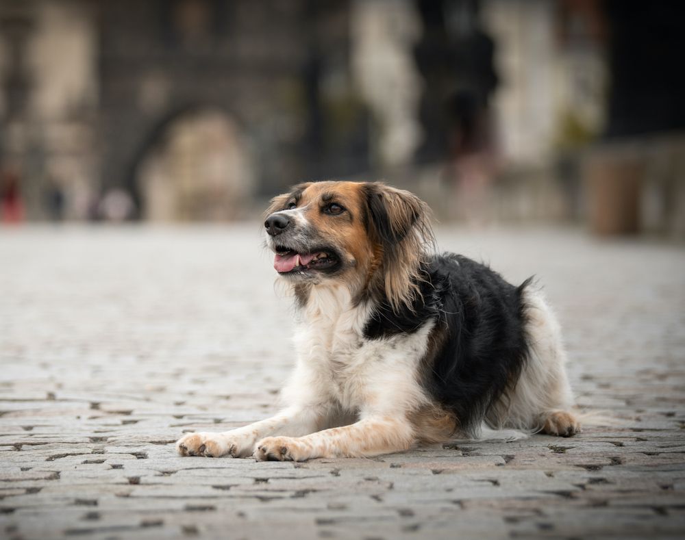 The Gossip Column, October 8, 2021